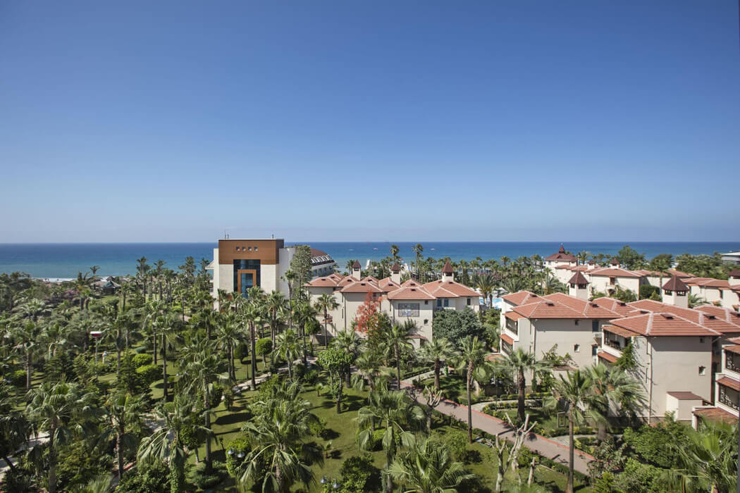 Saphir Hotel & Villas - ogród palmowy przy plaży